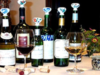 Ceramic Wine Cap（セラミック　ワイン　キャップ）使用例